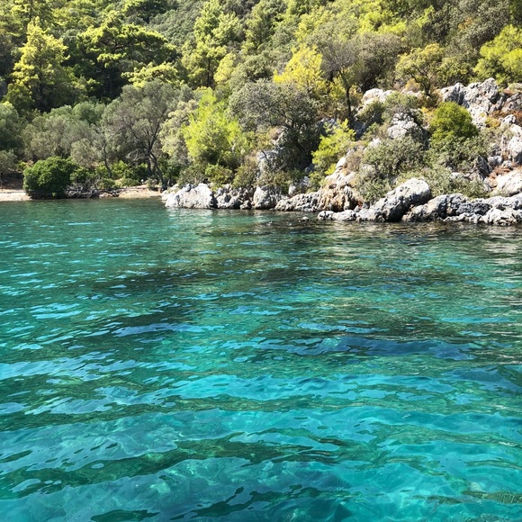 Meet your Posher, Laura - Picture 2 of 2